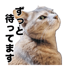 megumi_20260216120623