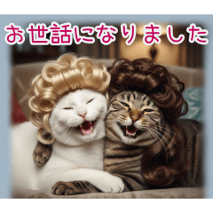[お世話になりました専用]カツラ猫