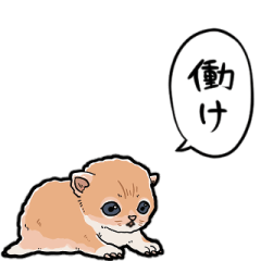 しゃべるこねこ