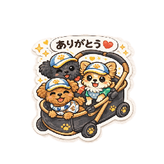 maririn_20260216205144