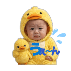 kzgimi_20260216204446