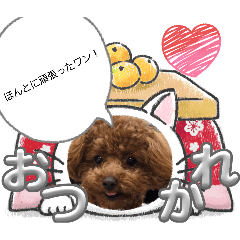 moka_life_20260216204608