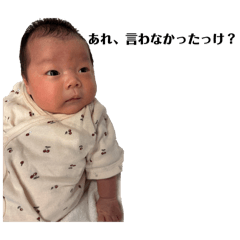 Yudai_20260216123021