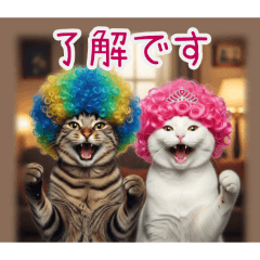 PAKAMOGOLY_20260216122853