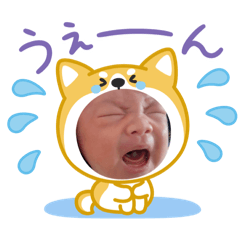 sawa._20260216123551