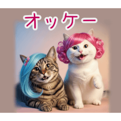 PAKAMOGOLY_20260216122933