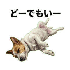 obak133_20260216184923