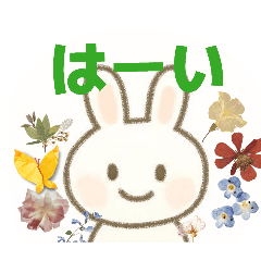 natsu_20260216223230