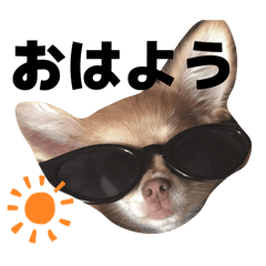 minori_20260216031127