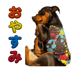 asuka_20260216130004