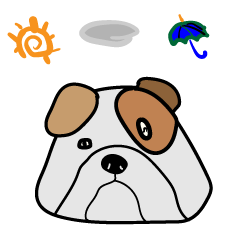 プッチのお天気