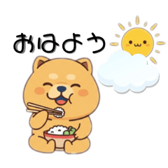 chocotto_20260216131538