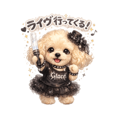 misajyj_20260216194956