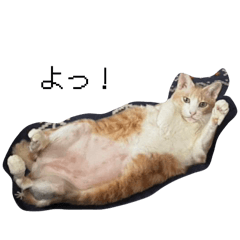 Bisuke_20260216230330