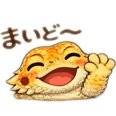 kohaku_20260216231035