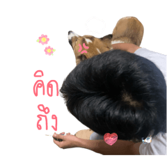 quiy4r_20260216142842