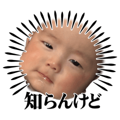 hareruya_20260216171049