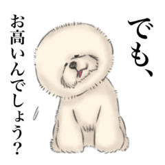 Surreal Bichon Frise