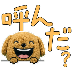 ตุ๊กตาโกลเด้นดูเดิ้ล 9th