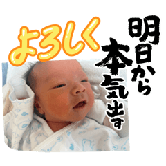 k_20260216073449