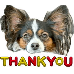 Satomi_20260215143839