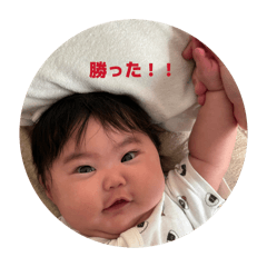 Hi-ko_20260217095424