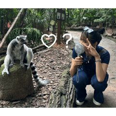 mumiwo_20260216081735