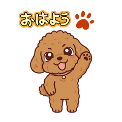 sikatane_20260217095938