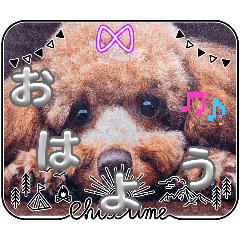 togame.no.matutran_20260216081157