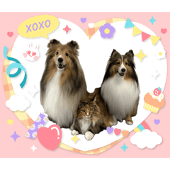 konan_20260217100109