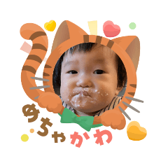 mizutani_20260217100625