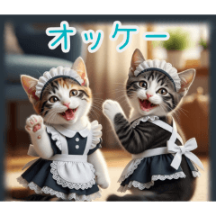 PAKAMOGOLY_20260217100654