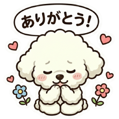 Mixed Dog Series PomPoo