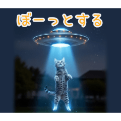 毎日使えるUFOさらわれる猫の日常