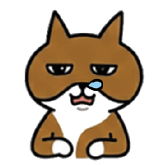 Choco the strange-eyed, runny-nosed cat