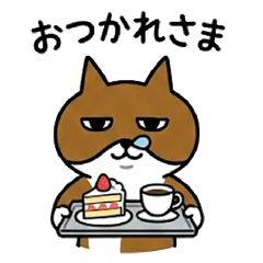 Choco the strange-eyed, runny-nosed cat2