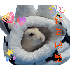 日子之鼠