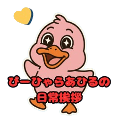 Pink Duck  Daily Talk Edition