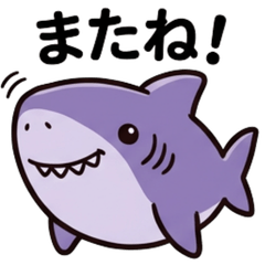 Sharks in everyday life 2