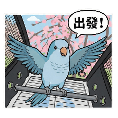 我的鳥奴日常：萌鳥與我的俏皮時光