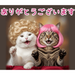 [ありがとうございます専用]カツラ猫