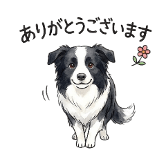 2008PAPILLON_20260216182914