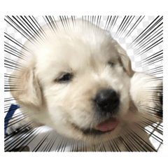 JB_jinjuta_20260216172304