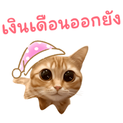 Aom jira_20260216180307