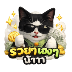 PK1991_20260216175618