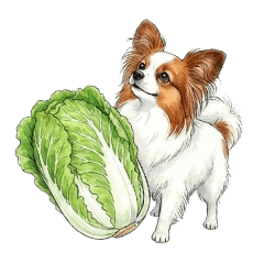 2008PAPILLON_20260216183110