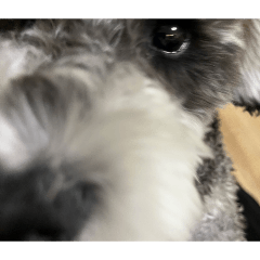 kenji_20260216150801