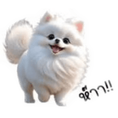 Jantida_20260216155558