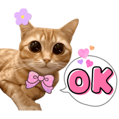 Aom jira_20260216163157