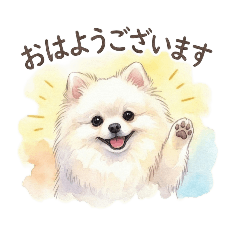 2008PAPILLON_20260216171450